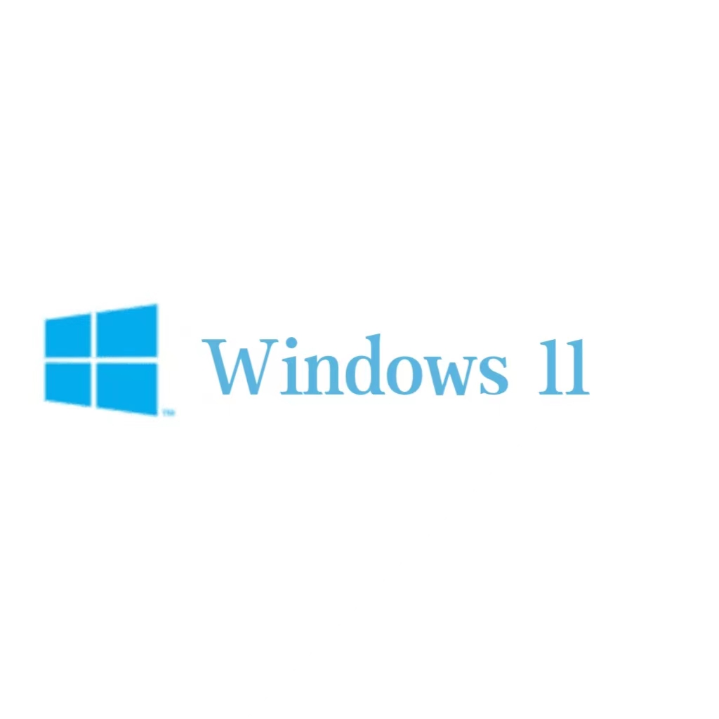windows 11